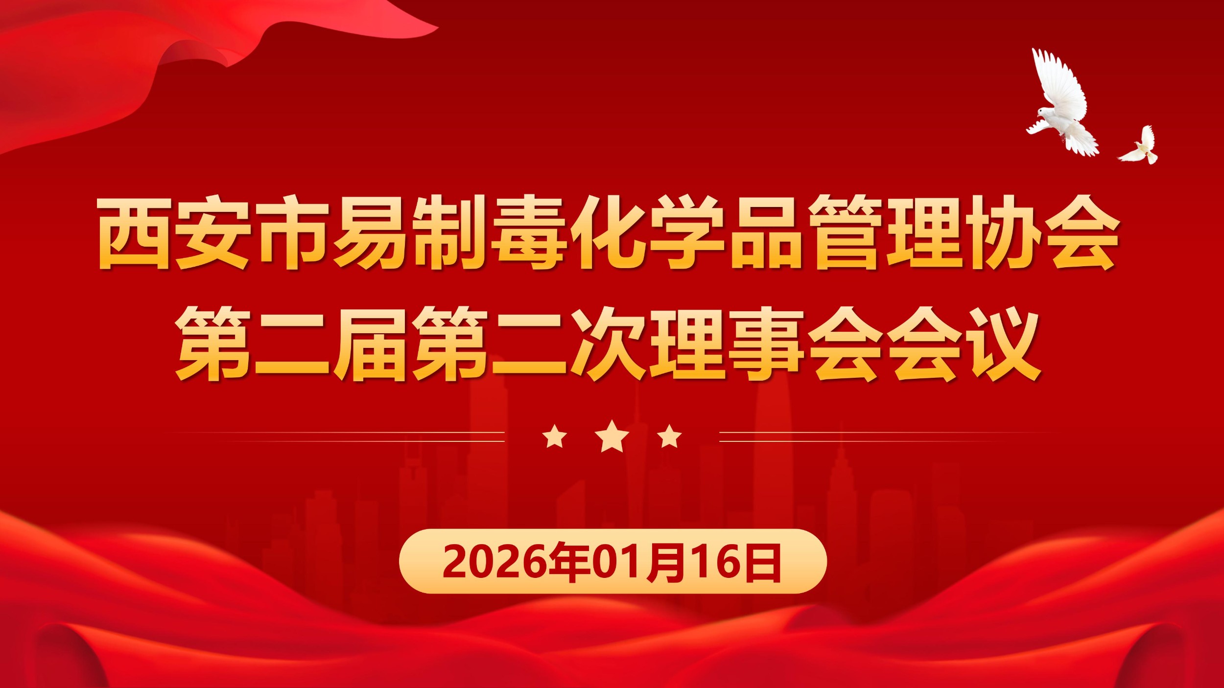 党建引领强根基 砥砺奋进启新程 西安市易制毒化学品管理协会第二届二次理（监）事会圆满召开
